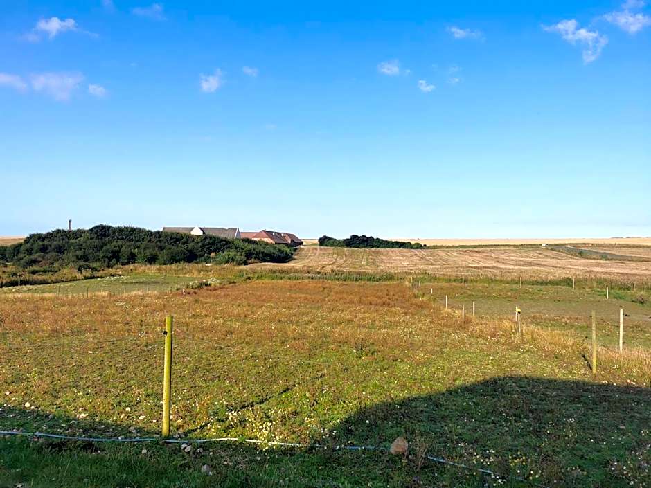 Rikke og Franks Svineri