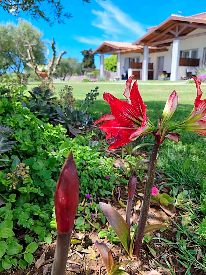 Residence la Pace - Pool & Relax