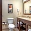 Comfort Inn Near Greenfield Village