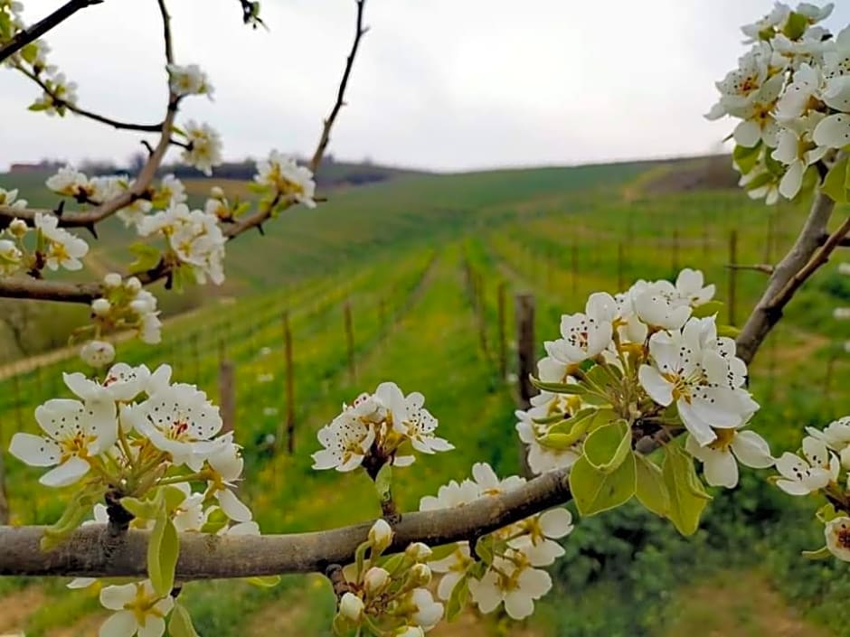 Cascina Valtignosa Camere Con Vigna