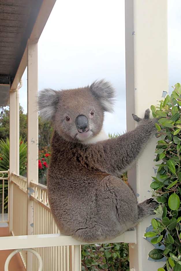 Angela's Beach Stays