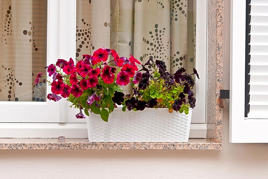 Montellinos Suite Tortora