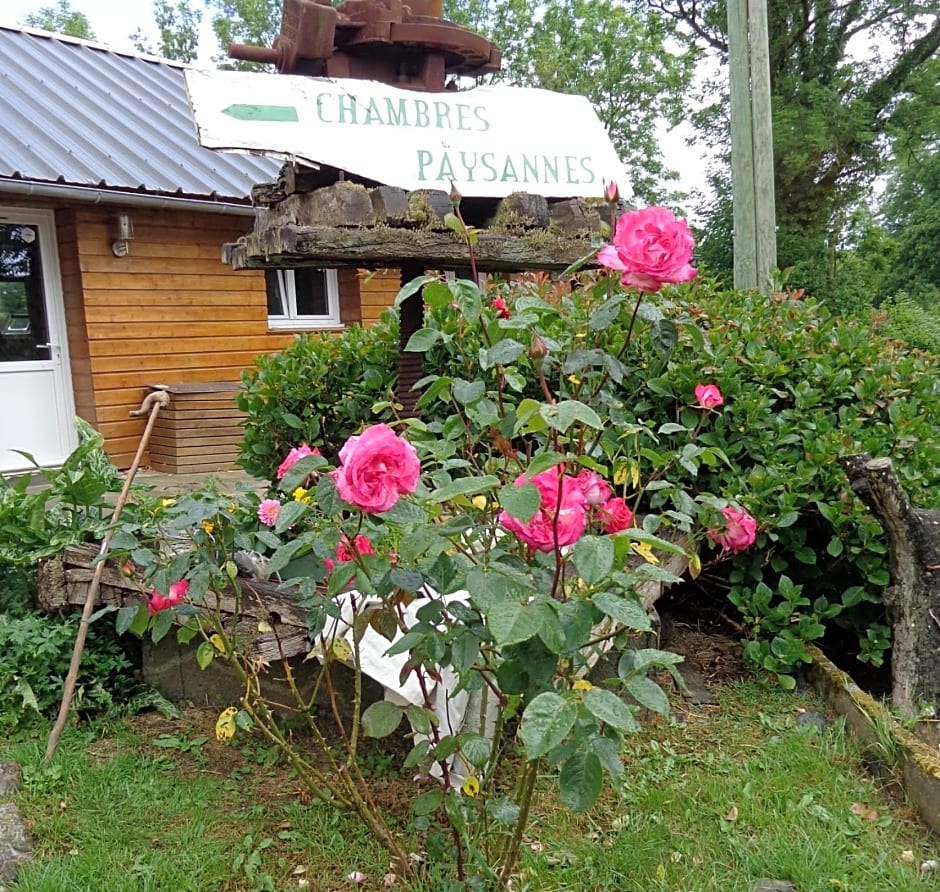 La vallée du Rivoal