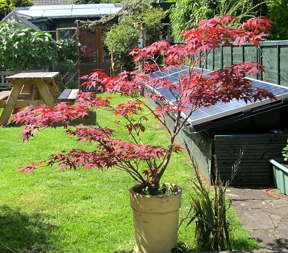 Perfect for Petersfield B&B