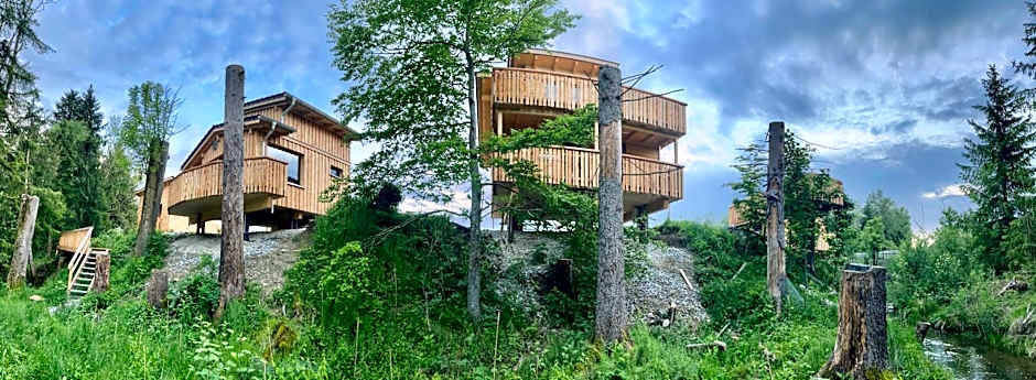 Wald ist Zukunft