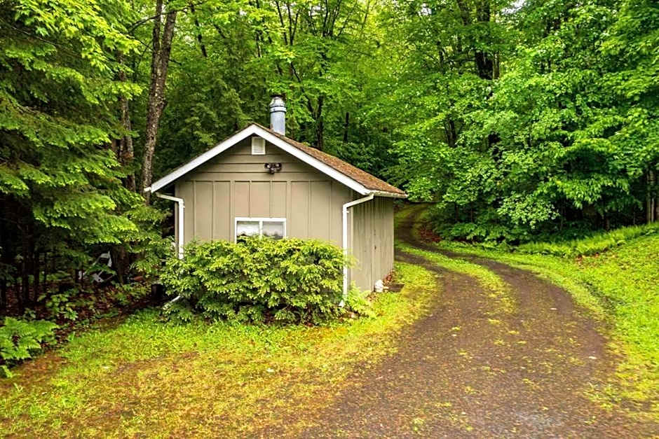 Bear Essentials Hideaway