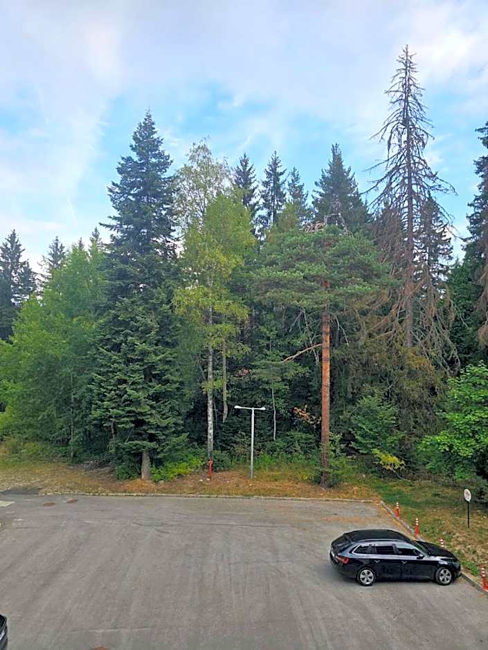 Bright & Cozy Studio E27 in Borovets Gardens