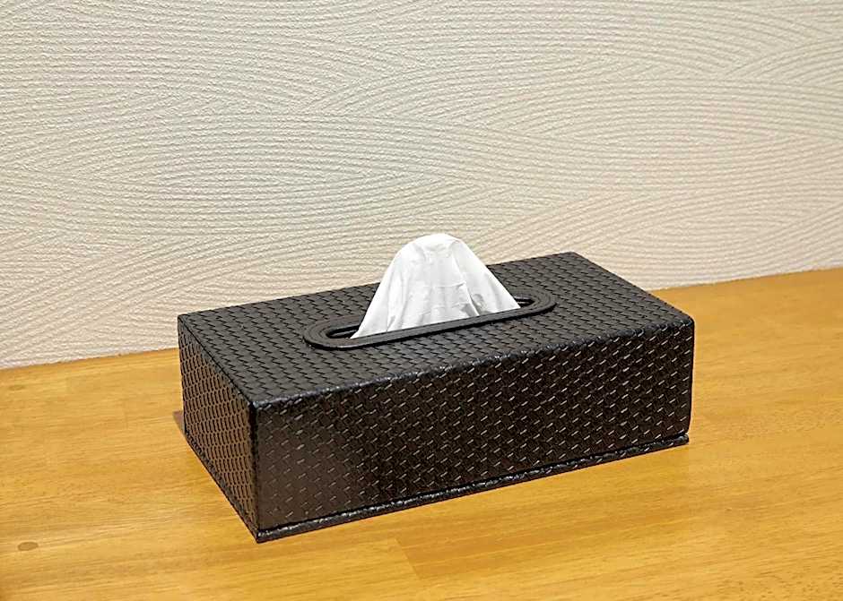 IKIDANE Residential Hotel Sumida Kyojima