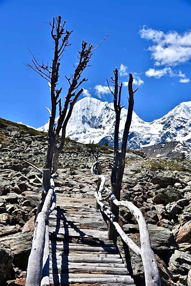 Bed & Breakfast Hotel Nives