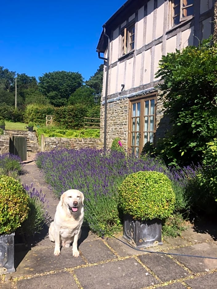 Lower House Farm B&B, Herefordshire