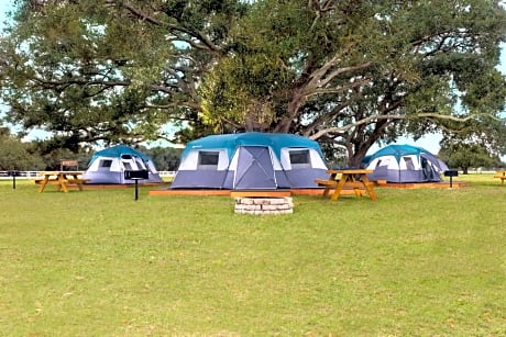 Platform Camping