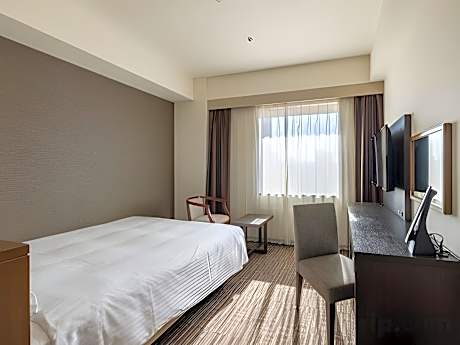 Standard Double City View