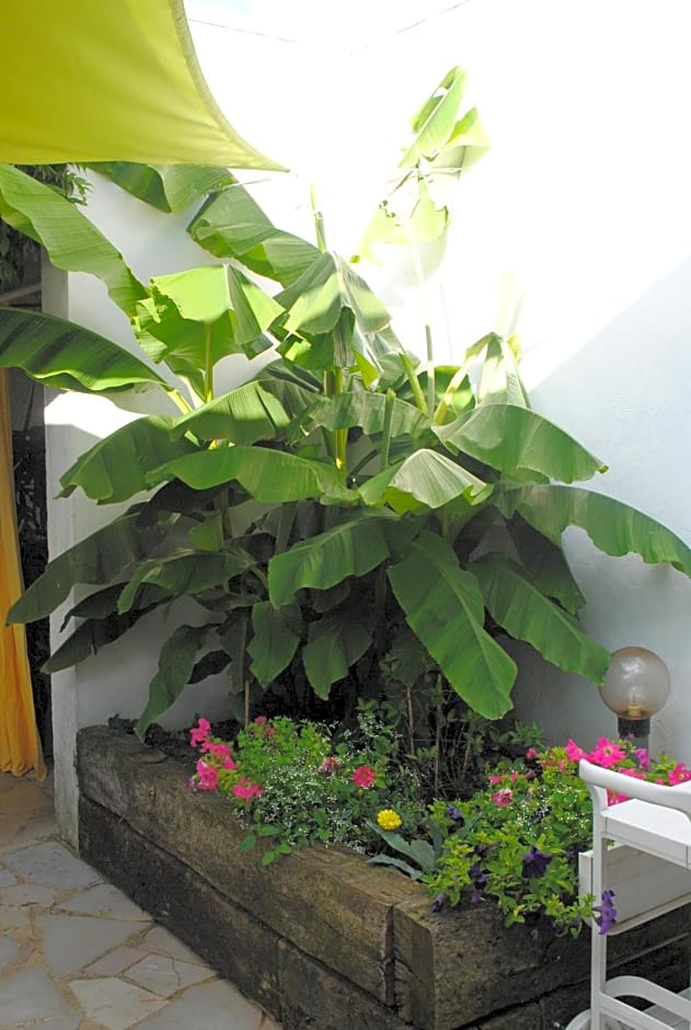 Chambres d'hôtes La Tribu