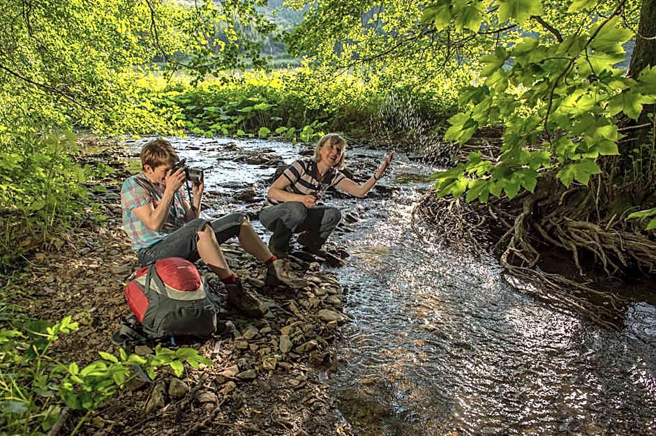 Hotel im Auerbachtal