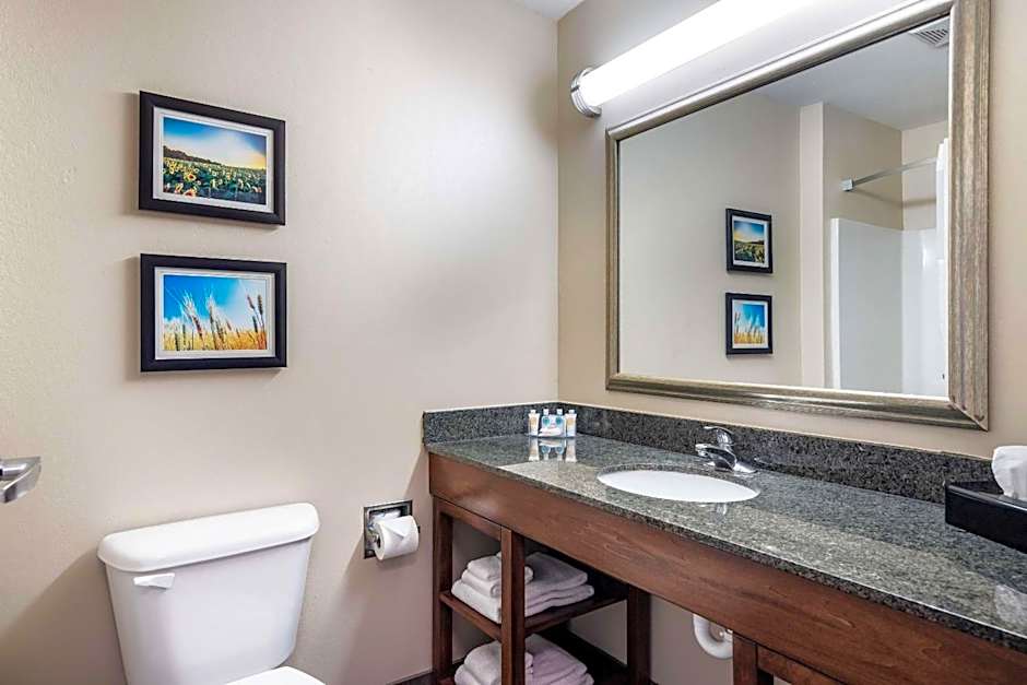 Comfort Inn Bonner Springs Kansas City
