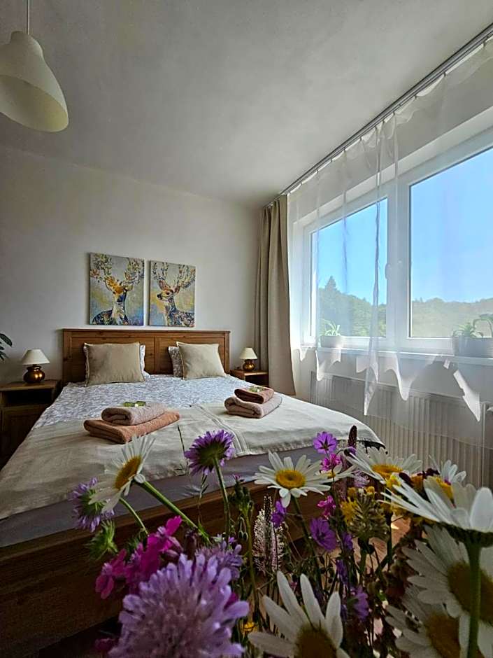 Villa Paradajs - ubytovanie pri jazere