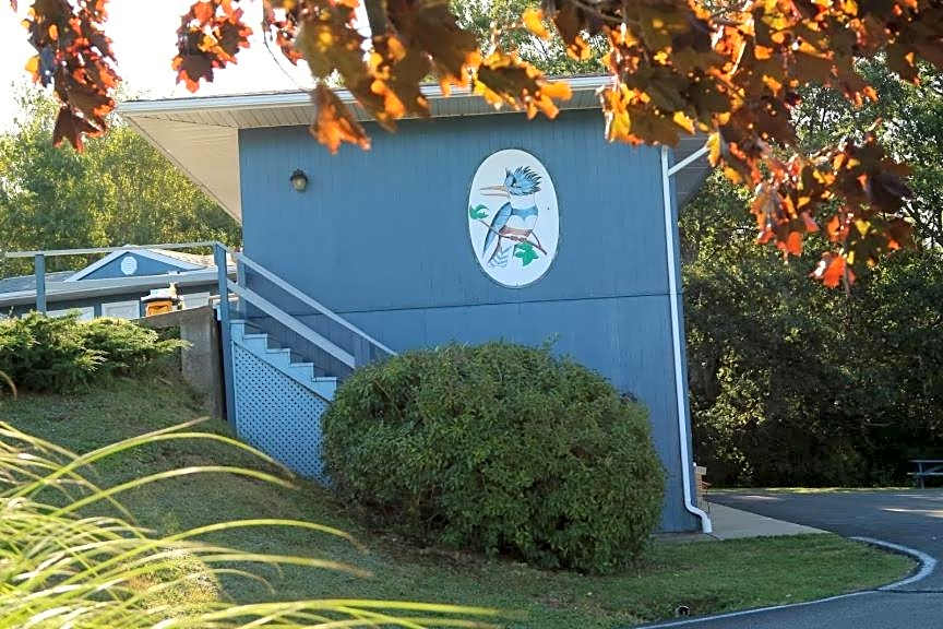 Coastal Inn - Kingfisher