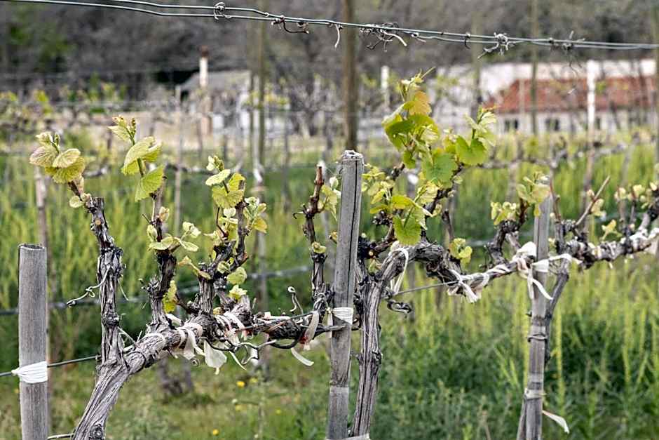 Casa Raco - Parras de la Fuente