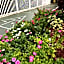 Searenity, Waterside studio in the heart of Treasure Island, walk to beach