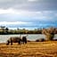 Inverdoorn Game Reserve Lodge