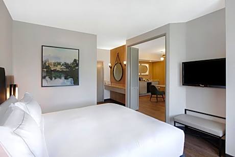Business King Suite - Non-Smoking