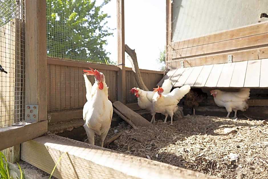 hiresicily - Casale della Pergola