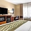 Comfort Inn Okemos