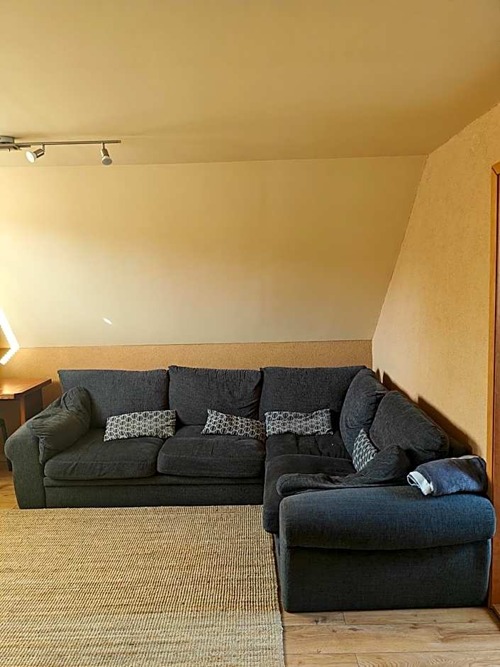 Parrot district apartments