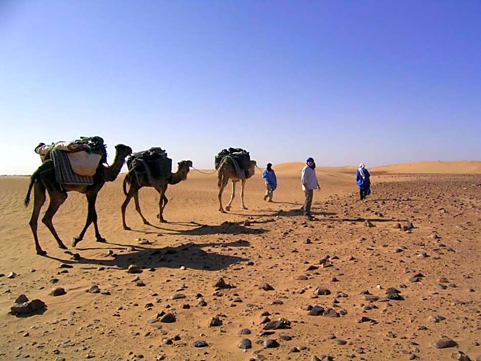 Fibule Du Draa Kasbah D'hôtes