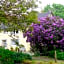 La vallée du Rivoal