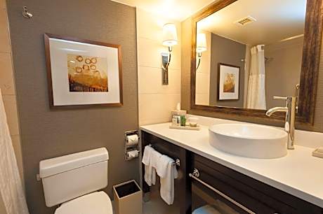 1 King Deluxe Room with Sofabed