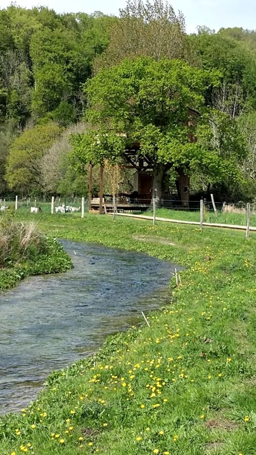 Cabane Perchée dans la prairie de l'ancien moulin