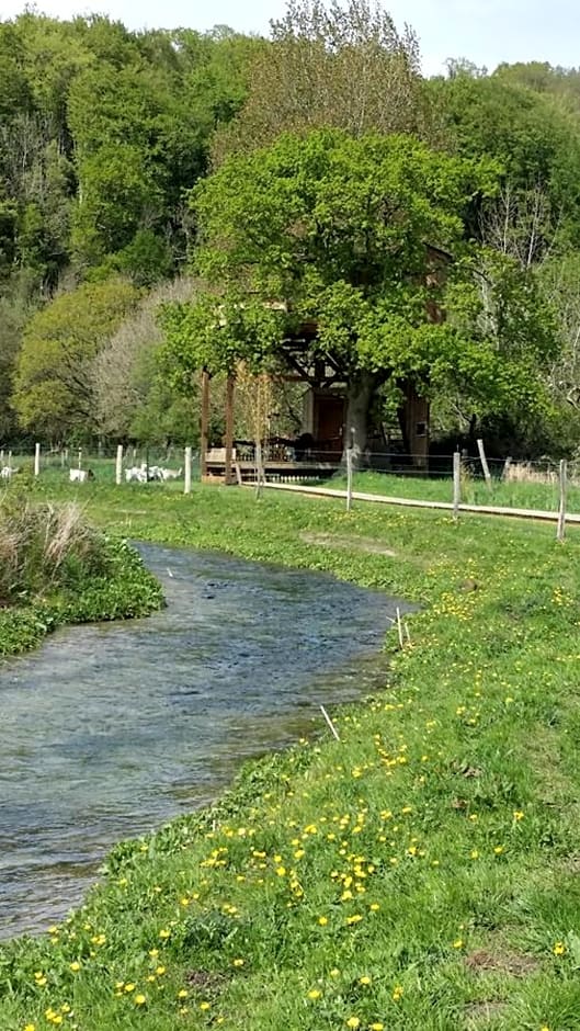 Cabane Perchée dans la prairie de l'ancien moulin