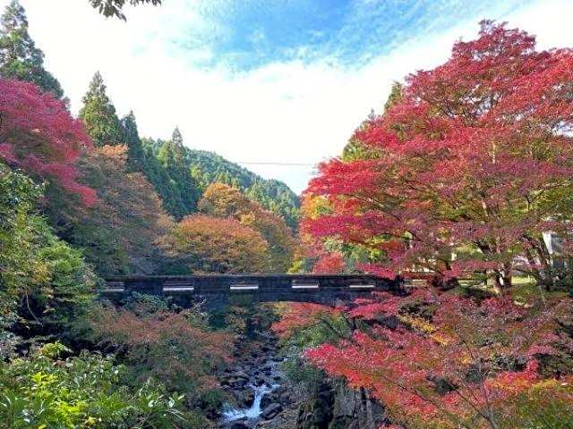Ryoufuso