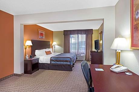 1 King Bed Mobility/Hearing Impaired Accessible Room Non-Smoking