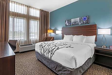 1 King Bed, Nonsmoking