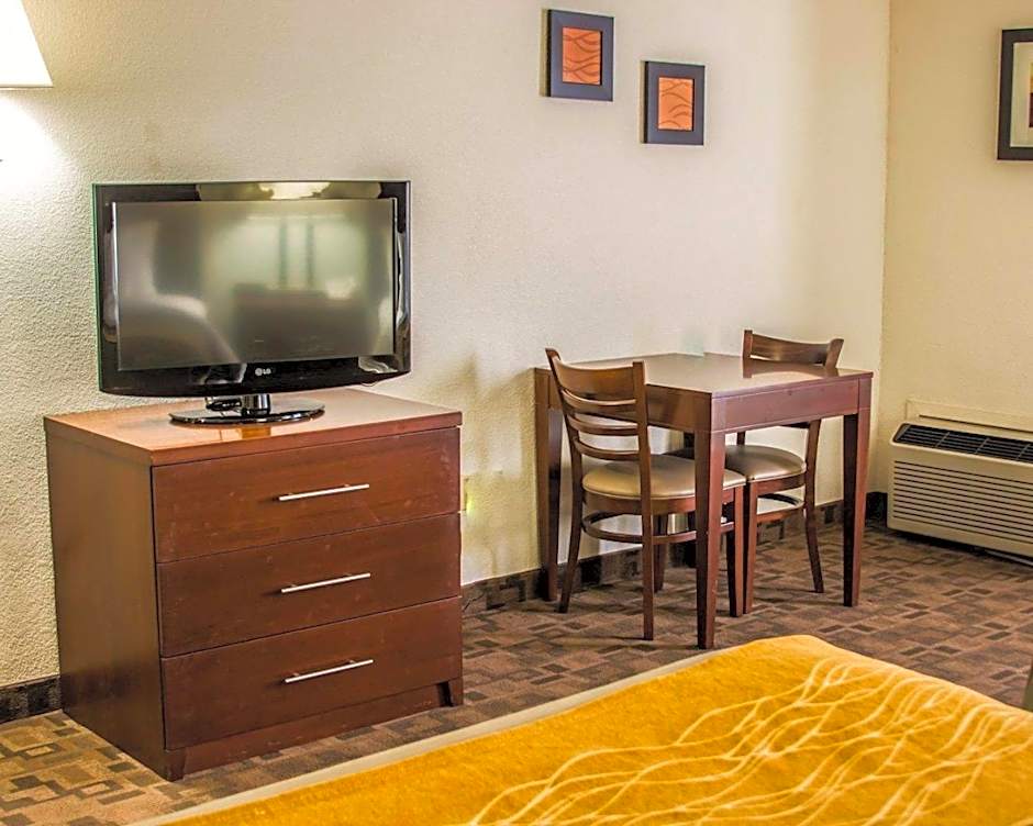 Comfort Inn Birch Run - Frankenmuth
