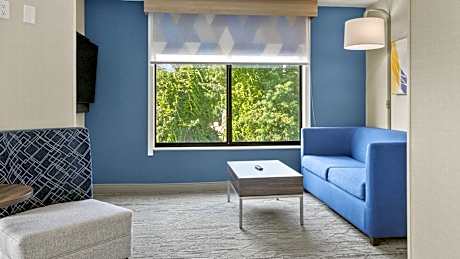 2 Queen Suite Single Sofa Bed