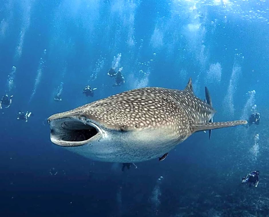 Raalhu Fonu Maldives