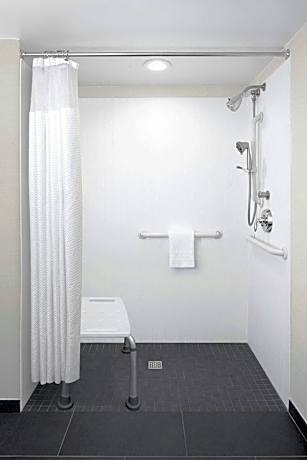 Room, 1 King Bed with Sofa bed (Mobility/Hearing Access, Roll-In Shwr)