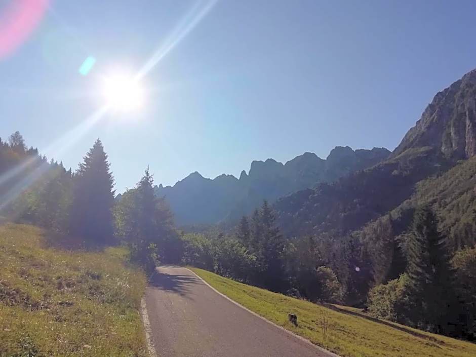 Alpen Chalet - Charme Mountain Hotel -