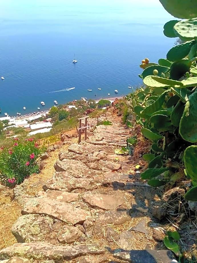 Alicudi Giardino dei Carrubi- al gradino 365