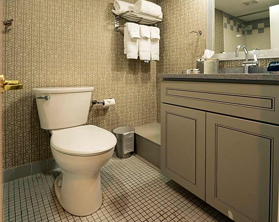 The Americus Hotel, Trademark Collection by Wyndham