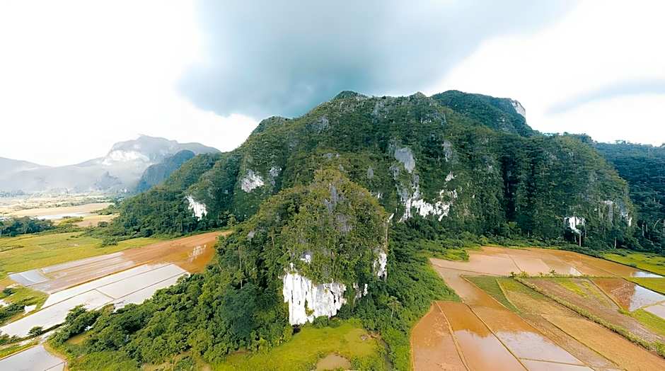 Funny Lion Puerto Princesa