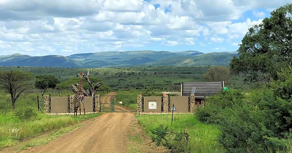 Amakhosi Safari Lodge