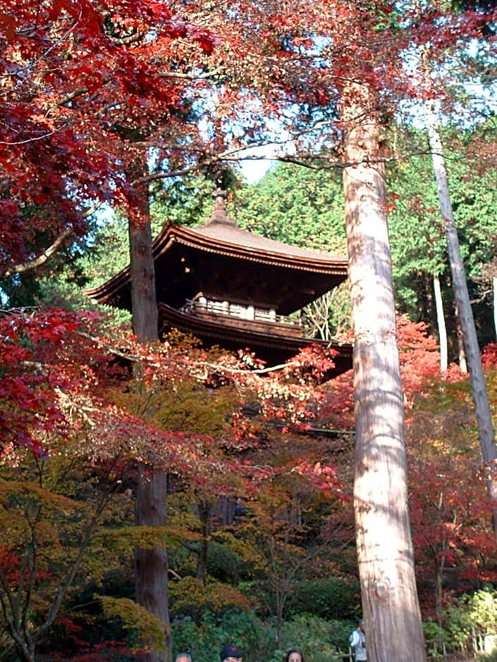 Dantokan Kikunoya