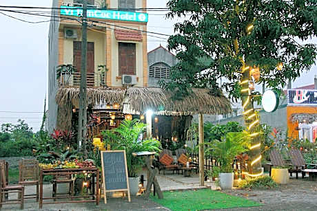 Tamcoc Lights Hotel