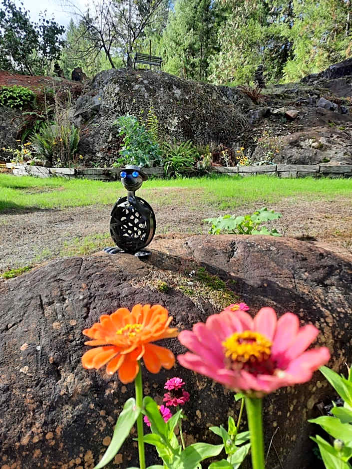 Beaver Hut Bed And Breakfast