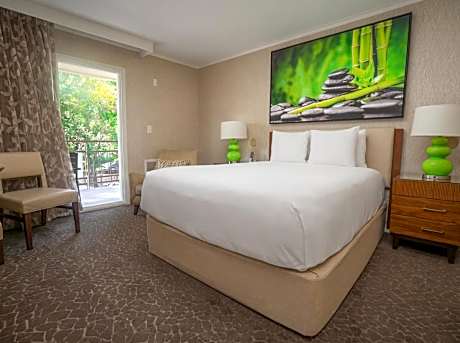 Standard Queen Room