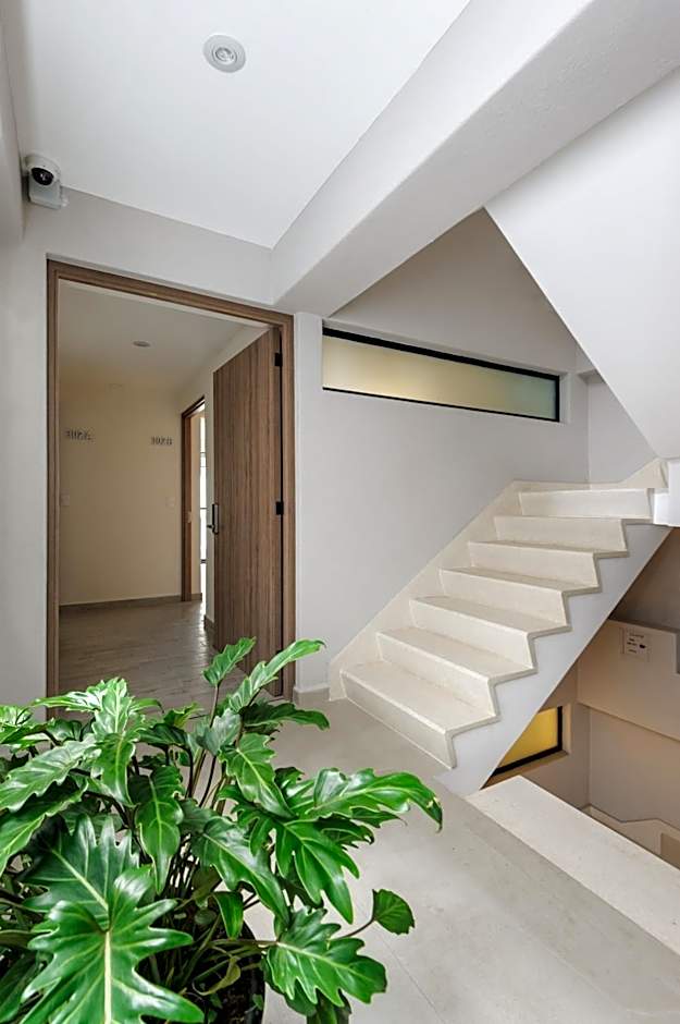 Choapan 28 - Lux Apartments in Condesa